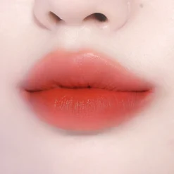 [BBIA] Last Velvet Tint