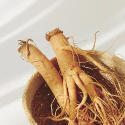 [Beauty of Joseon] Ginseng Essence Water