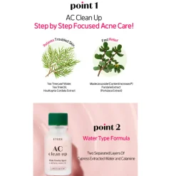 [ETUDE] AC Clean Up Pink Powder Spot