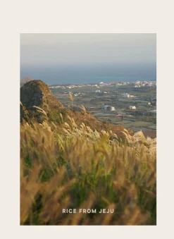 [Goodal] Vegan Rice Milk Moisturizing Toner