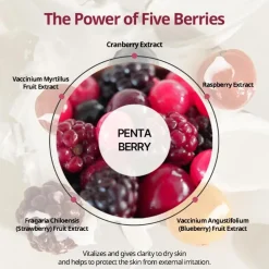 [HEVEBLUE] Penta Berry Panthenol Repair Lip Treatment