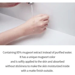 [Isntree] Mugwort Calming Ampoule