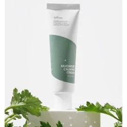 [Isntree] Mugwort Calming Cream