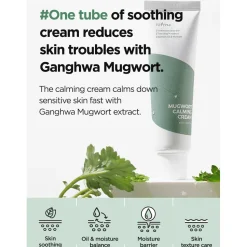 [Isntree] Mugwort Calming Cream