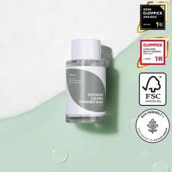 [Isntree] Mugwort Calming Powder Wash