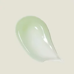 [Kaine] Green Calm Aqua Cream