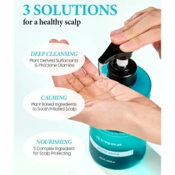 [Kundal] Clear Soothing Scalp Shampoo (Apple Green Tea)