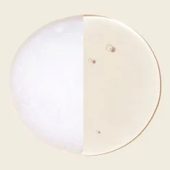 [odiD] Milk Protein Intensive Shampoo