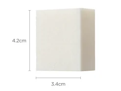 [PICCASSO] Latex Sponge