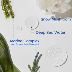 [Purito Seoul] Hydro Wave Deep Sea Serum