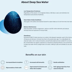 [Round Lab] 1025 Dokdo Cleansing Oil