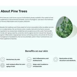 [Round Lab] Pine Calming Cica Pad