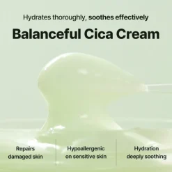 [Torriden] BALANCEFUL Cica Cream